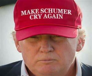 Make Schumer Cry Again