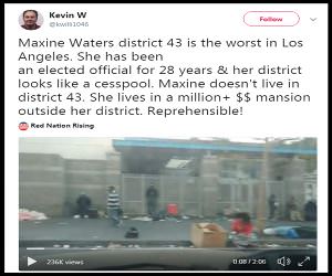 Maxine Is A Swamp Rat
