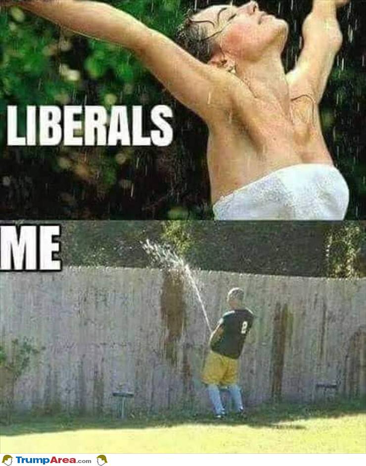 Me And Liberals