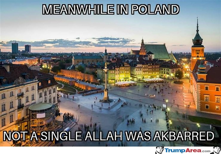 Meanwhile In Poland