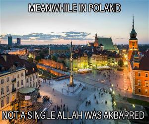 Meanwhile In Poland