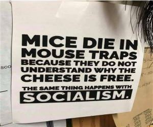 Mice