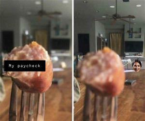 My Paychecj