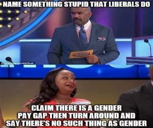Name Somethign Stupid Liberals Do