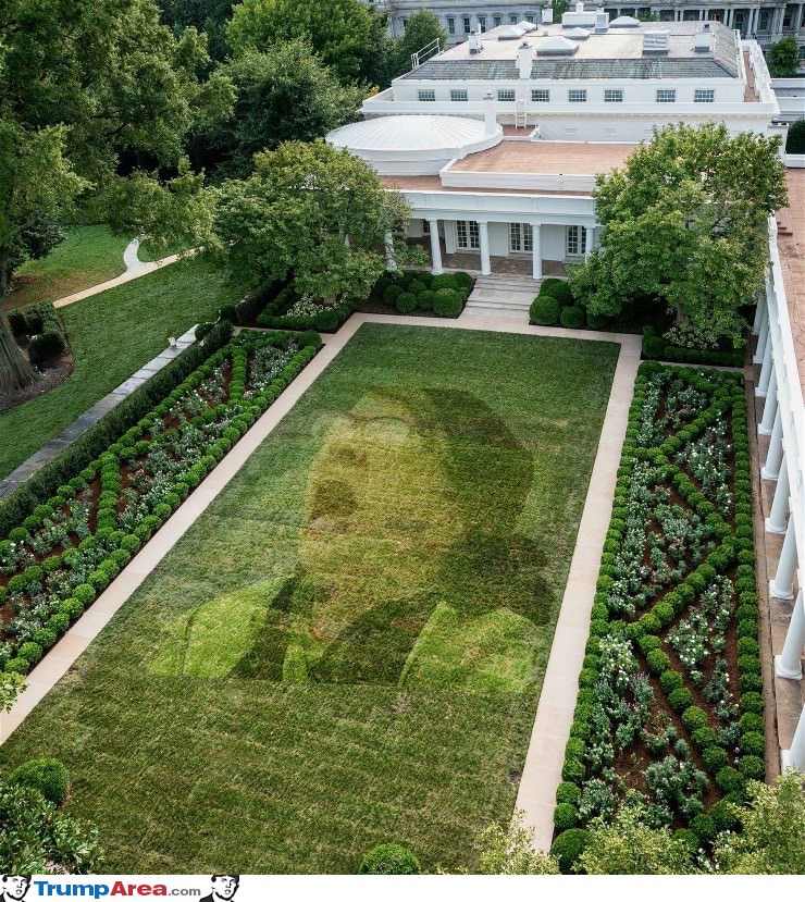 New Rose Garden Design