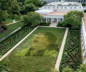 New Rose Garden Design