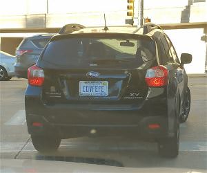 Nice Plates