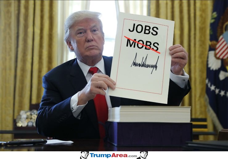 No Mobs