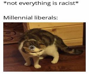 Not Everythign Is Racist