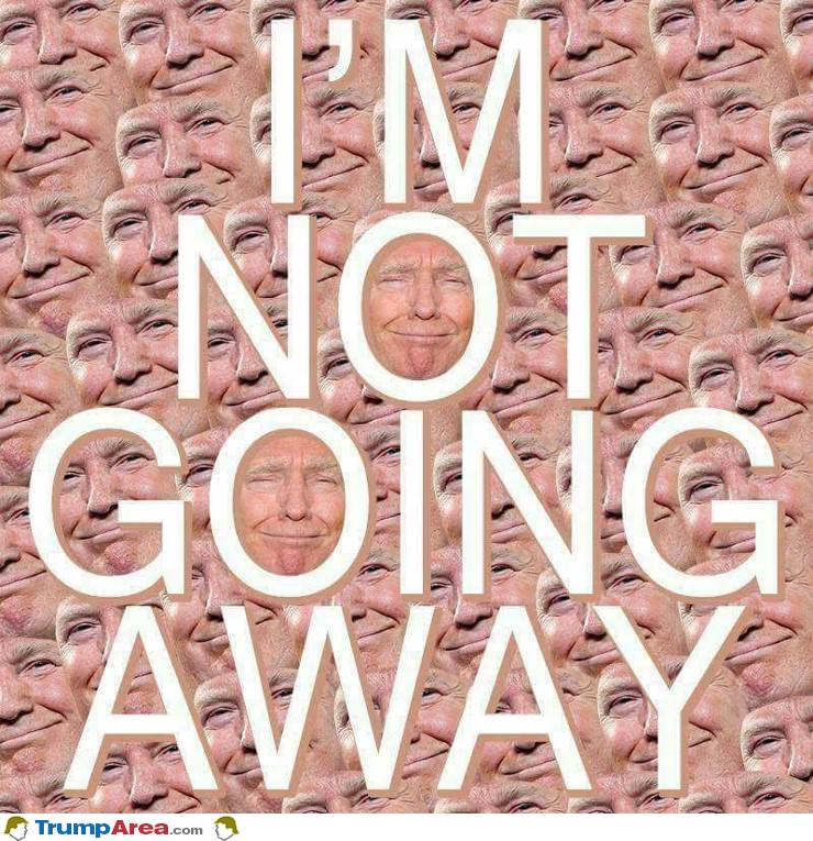 Not Going Away