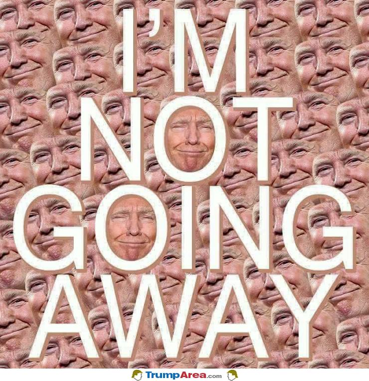 Not Going Away