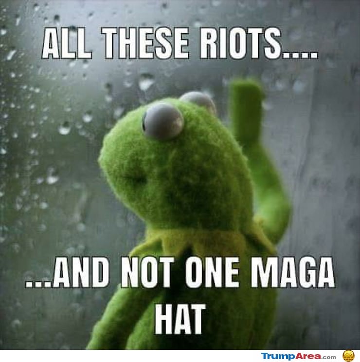 Not One Maga Hat