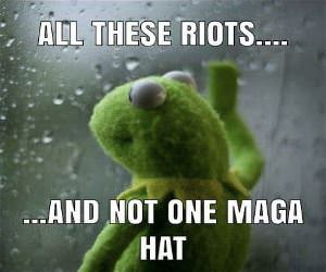 Not One Maga Hat