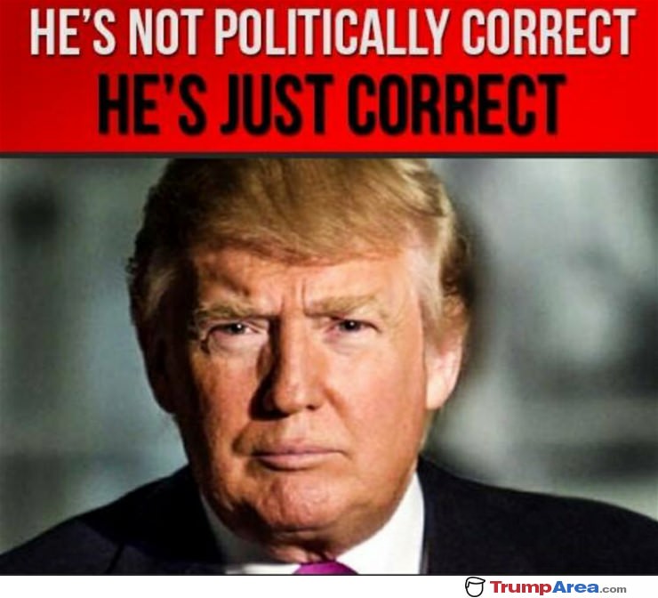 Not Politically Correct