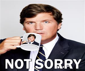 Not Sorry
