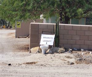 Obamas Legacy