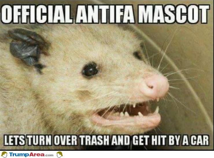 Official Antifa Mascot