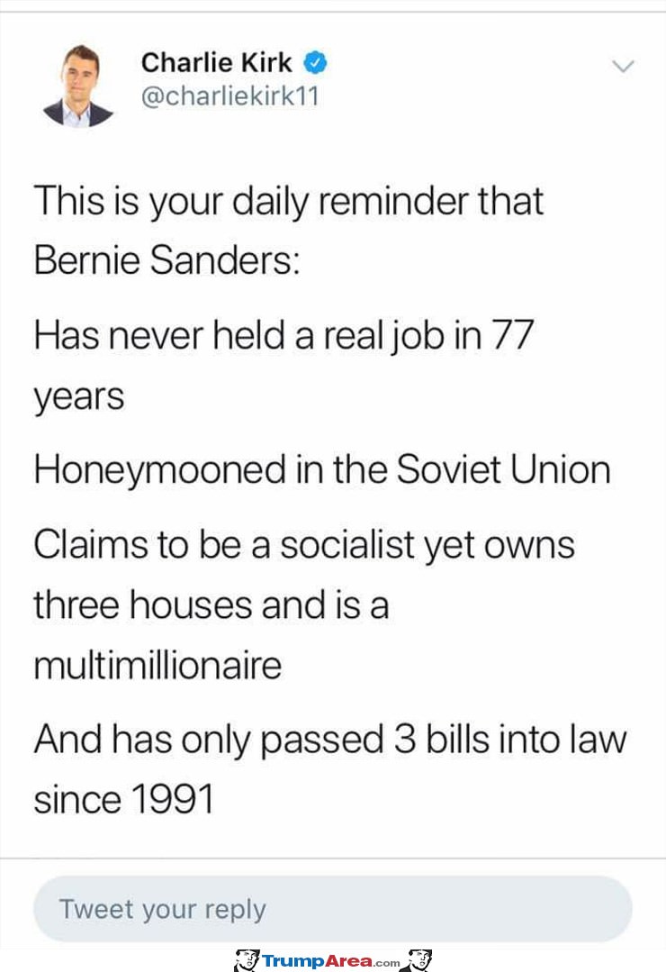 Ouch Bernie
