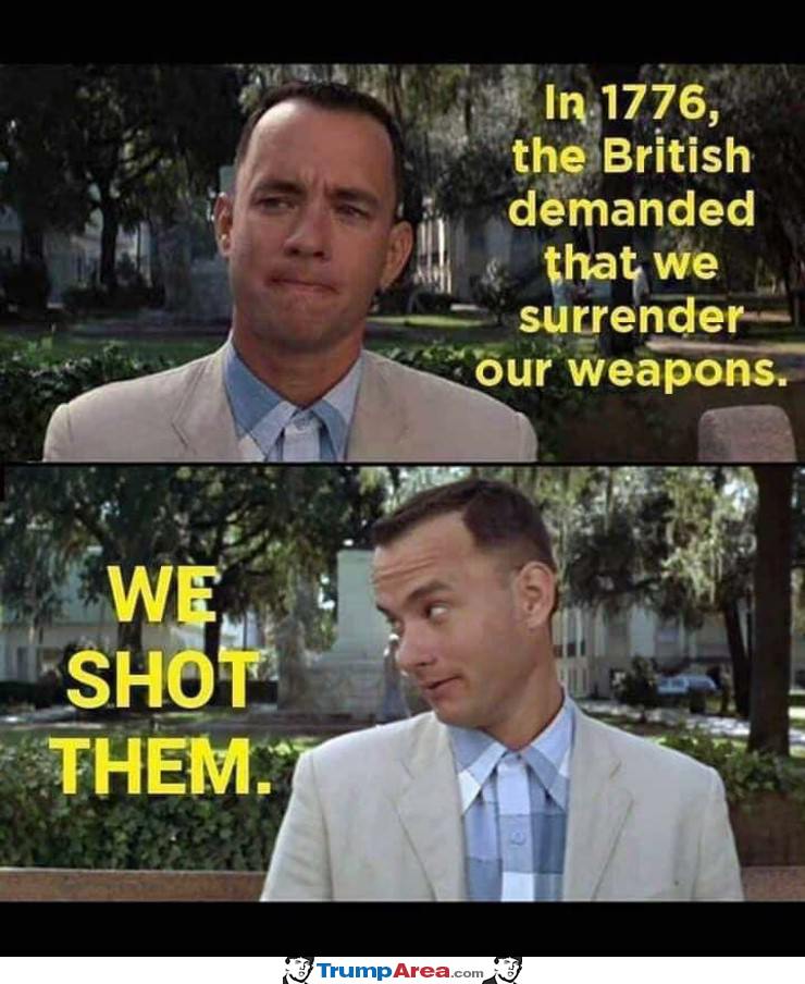 Our Guns