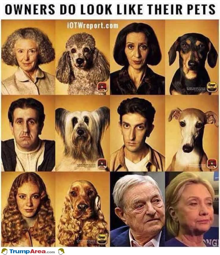 Owners Who Look Like Their Pets