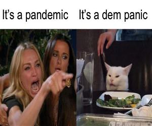 Pandemic