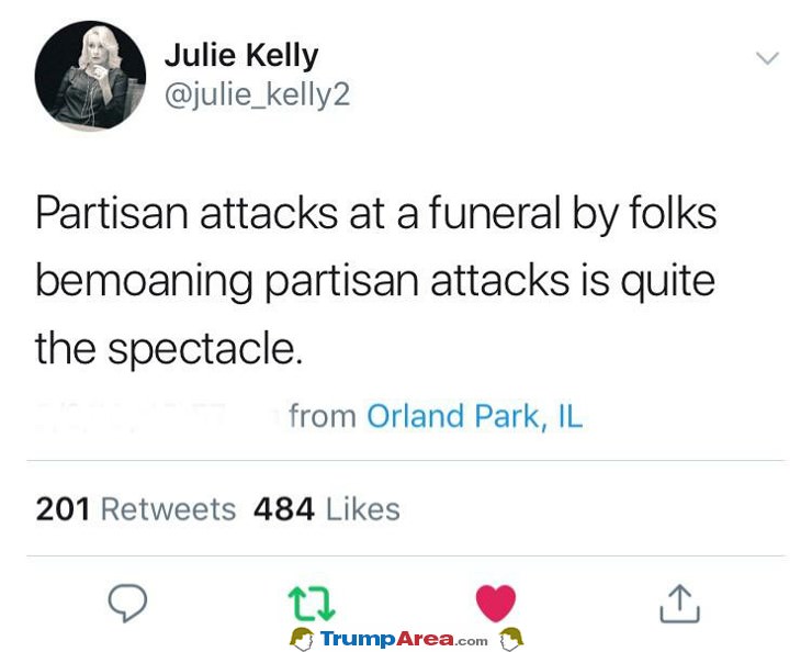 Partisan Attacks