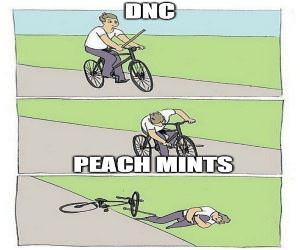 Peach Mints