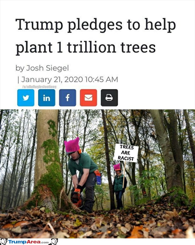 Plant One Trillion Trees