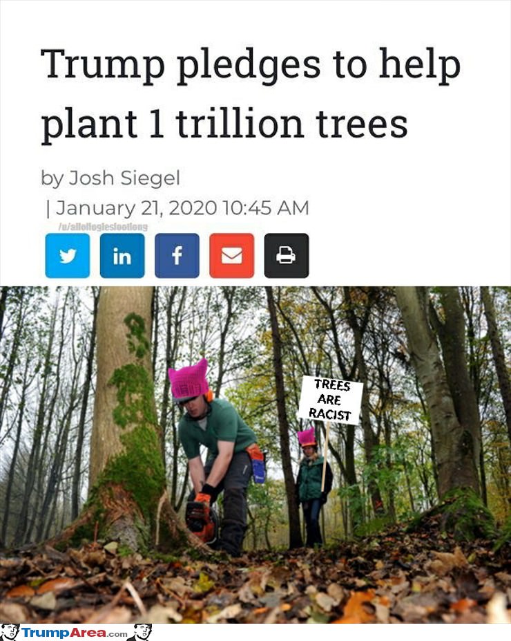 plant-one-trillion-trees.jpg