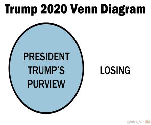 President Trumps Purview