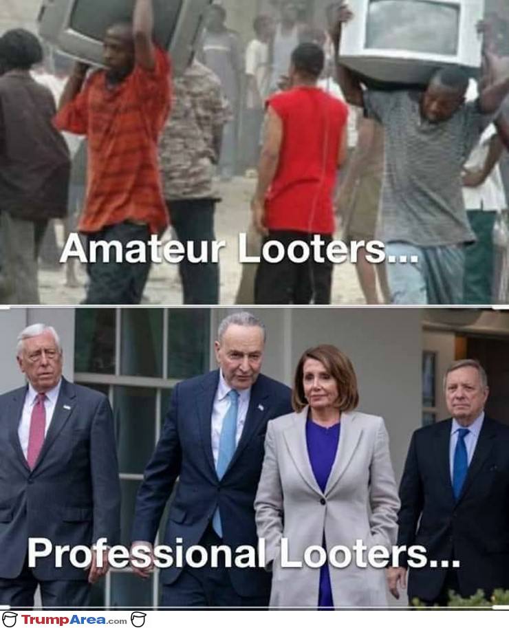 Professional Looters