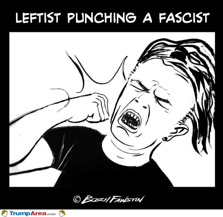 Punching A Real Fascist