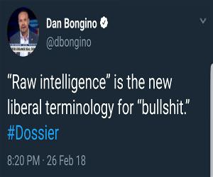 Raw Intelligence