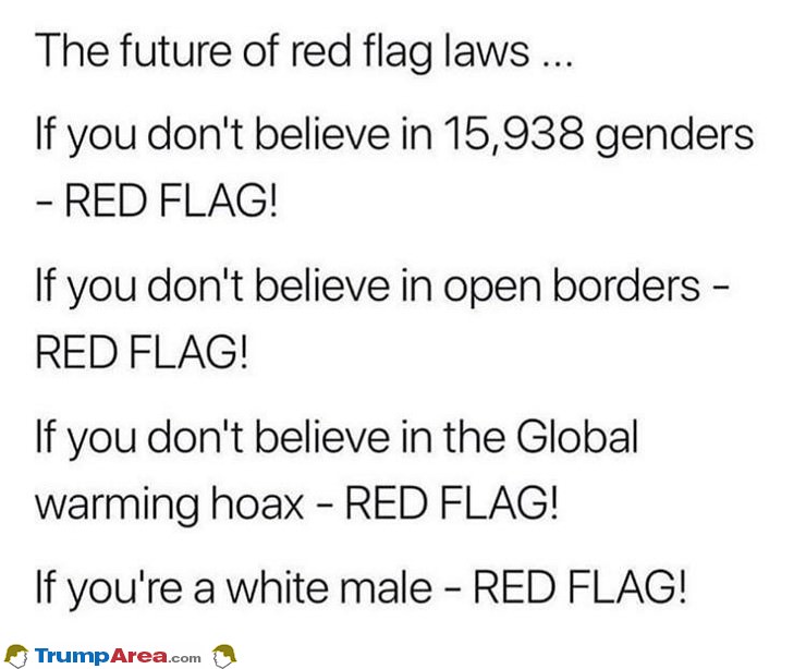 Red Flag Laws