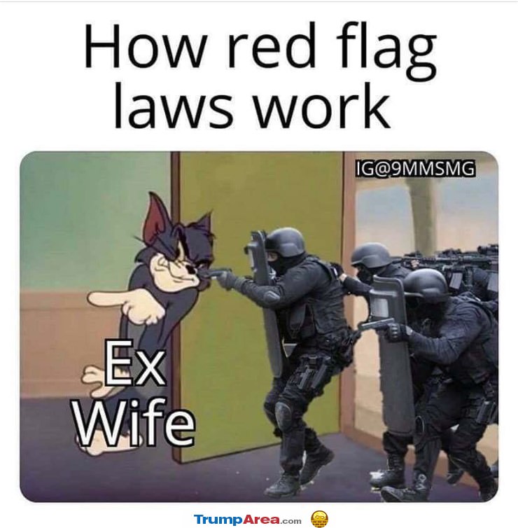 Red Flag Laws