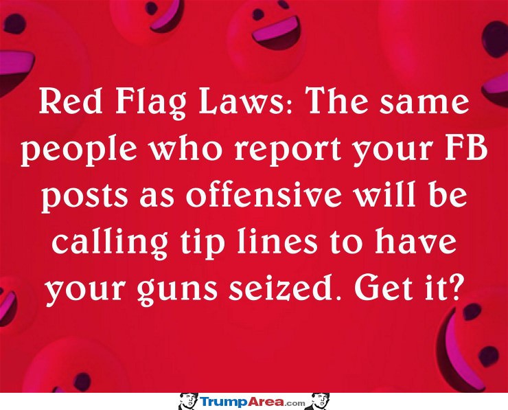 Red Flag Laws