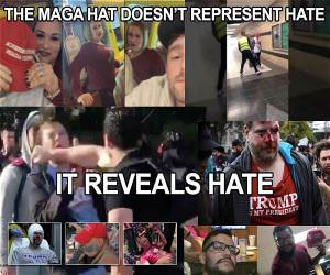 Reveals It