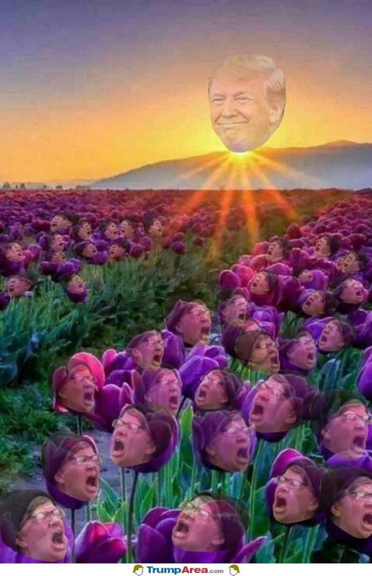 Rise And Shine