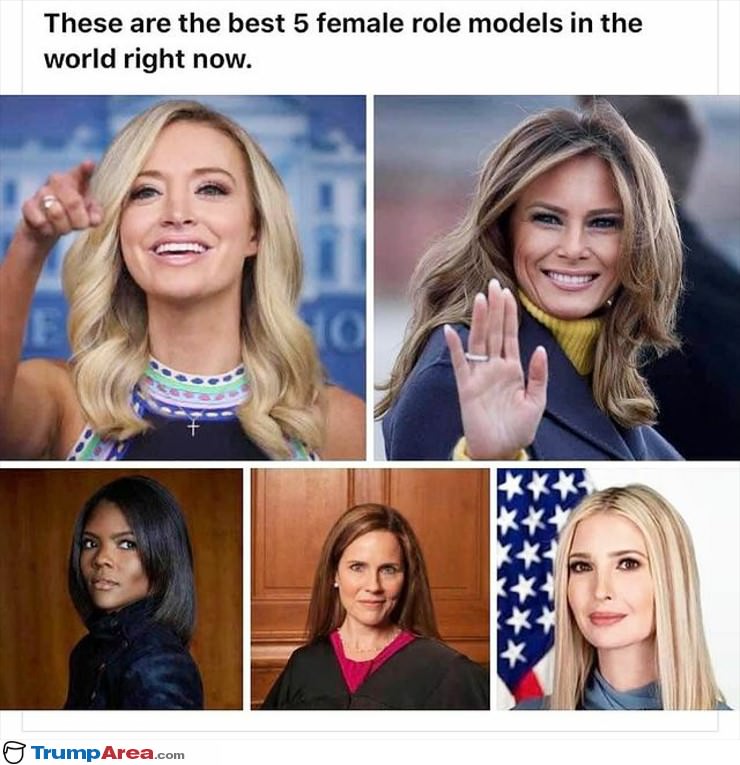 Role Models