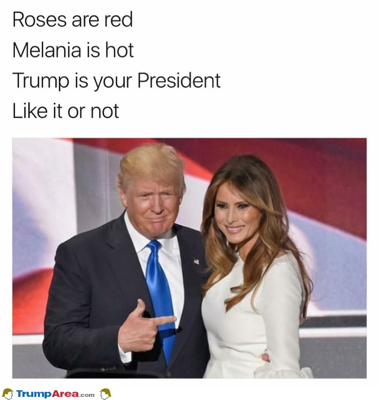 Roses Are Red