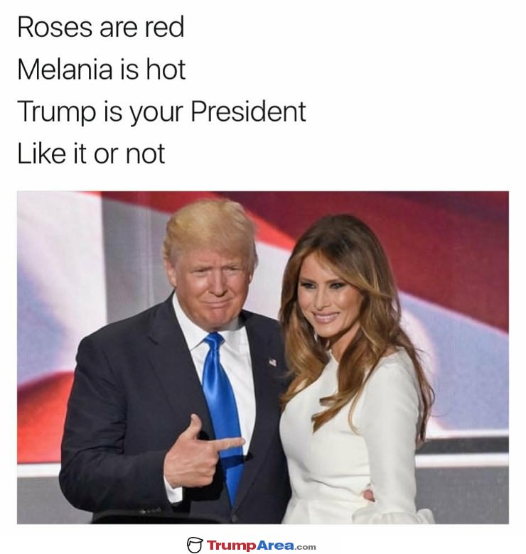 Roses Are Red