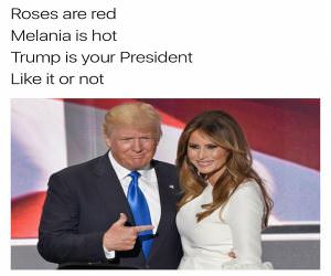 Roses Are Red