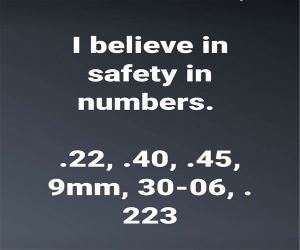 Safety In Numbers