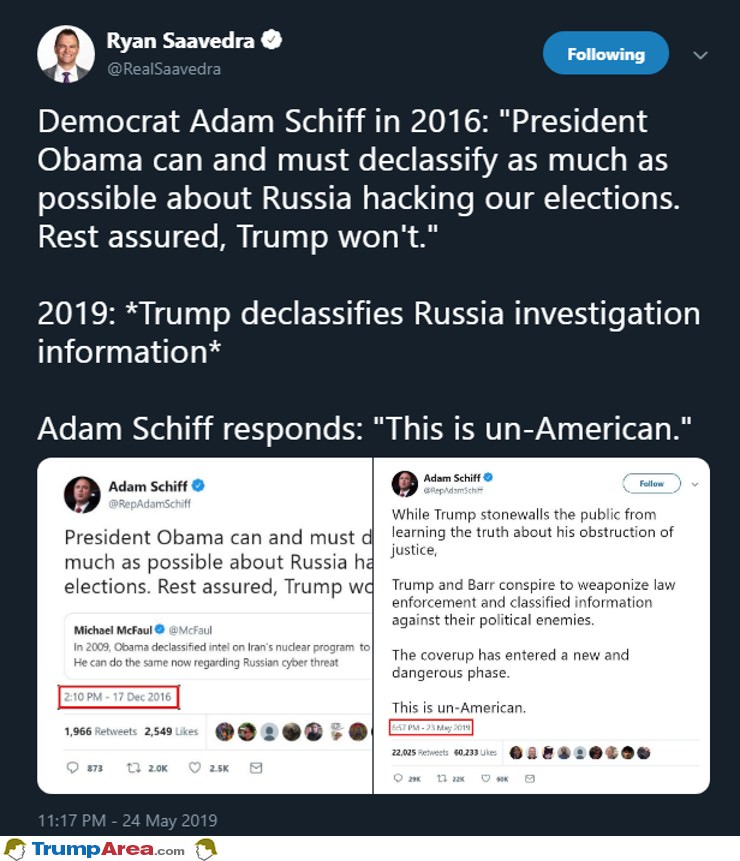 Schiff For Brains