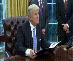 Showing Off Some Artwork