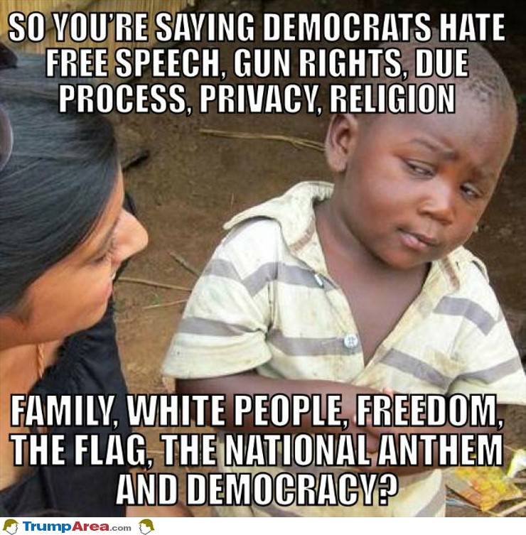 So What You Are Saying Is