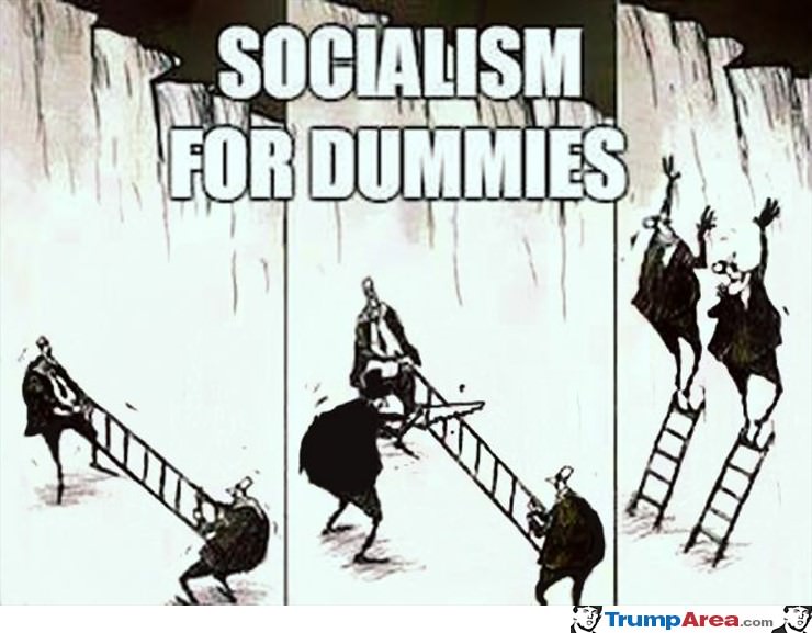 Socialism For Dummies