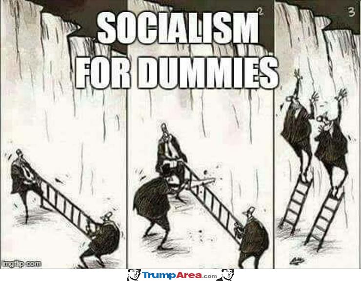 Socialism For Dummies