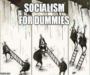 Socialism For Dummies