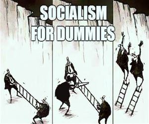 Socialism For Dummies